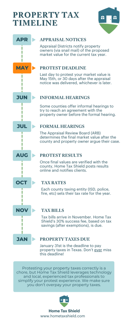 Timeline Infographic