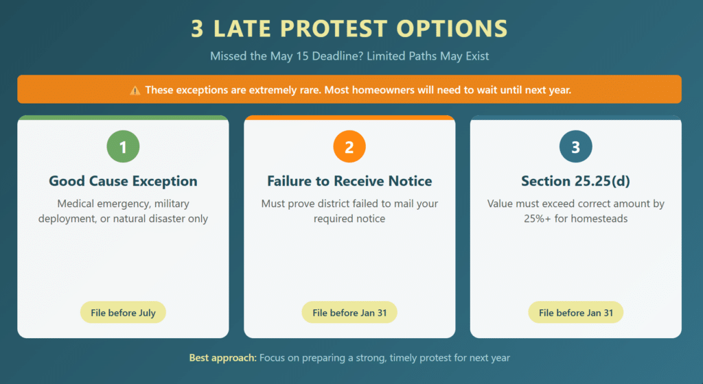 3 Late protest options