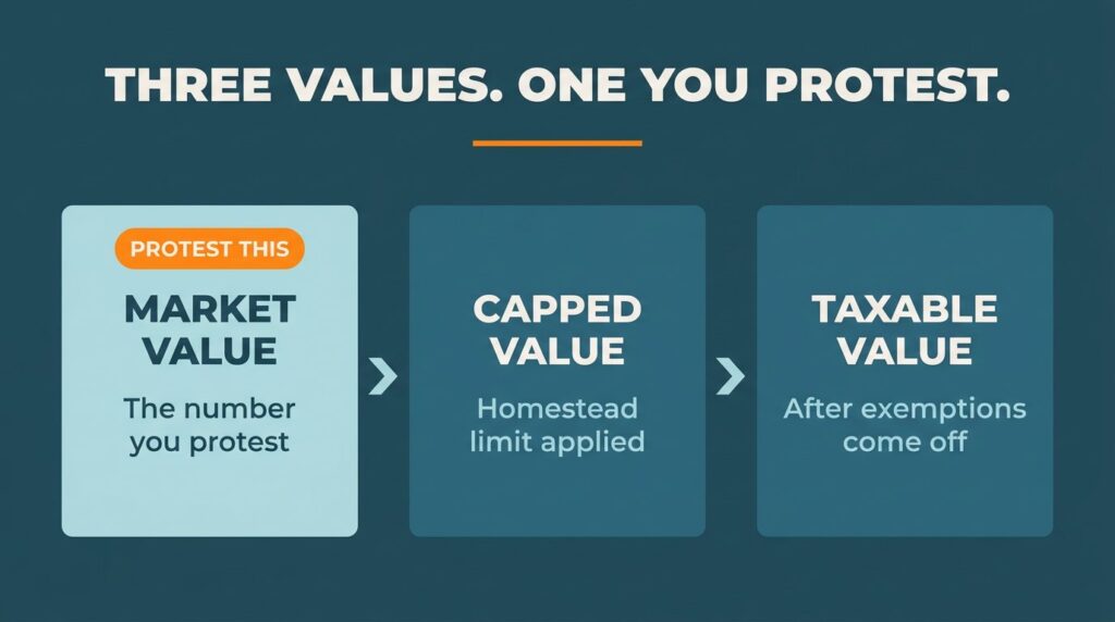 Infographic showing the three values on a Texas property appraisal notice, with market value marked as the only number a protest challenges