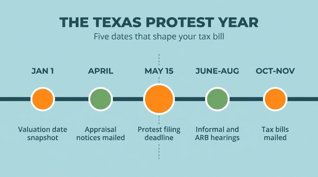 Timeline of the Texas property tax protest year from the January 1 valuation date through tax bills mailed in October and November